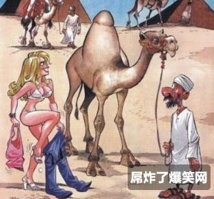 女人只爱单峰骆驼