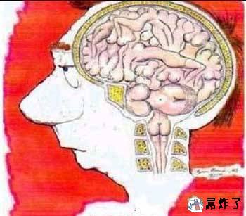 据说这是男人的大脑构造