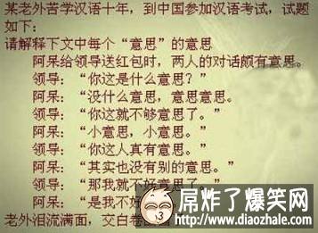 老外学汉语学到发疯了