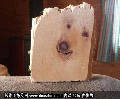 这块木头上辈子好像是条狗